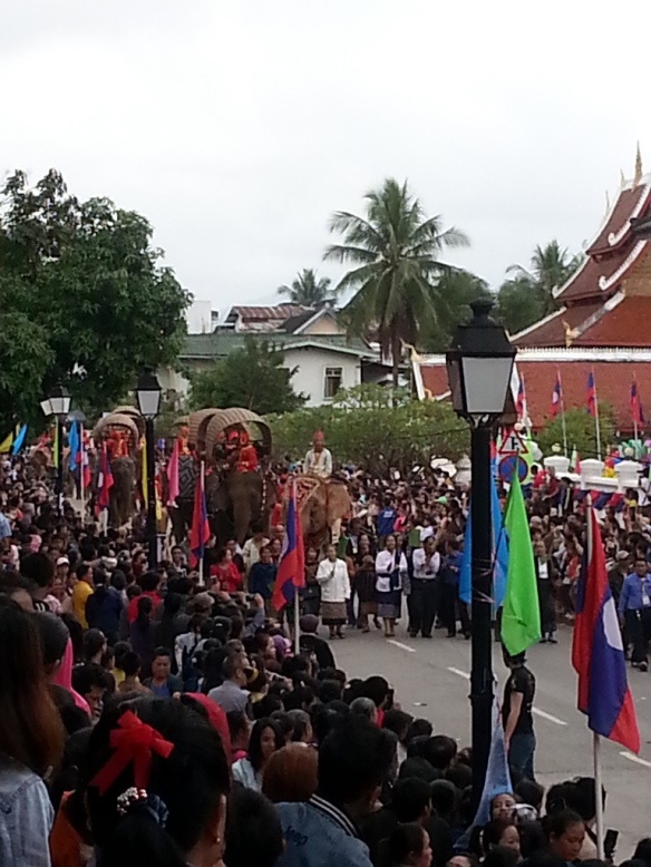 This was the highlight for sure.  More than 20 elephants had made the trek 240 km away just to participate in this parade.